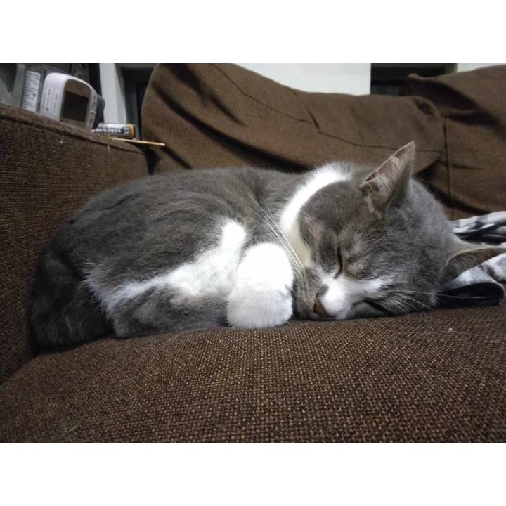 4a5cff64 72e8 44b5 8740 4bd68e3271f7 1718454361485