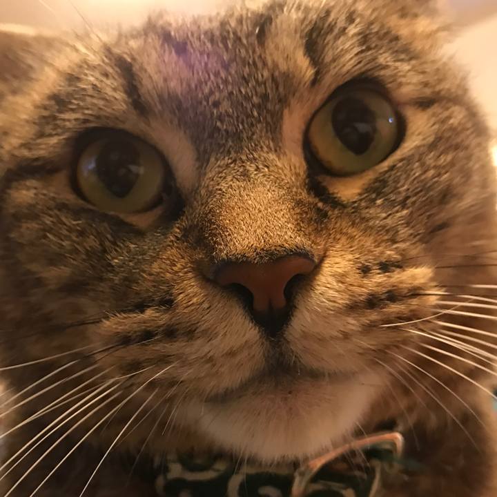 4a5d2521 8898 4c73 9f95 c153c48ff7d2 1528462756809