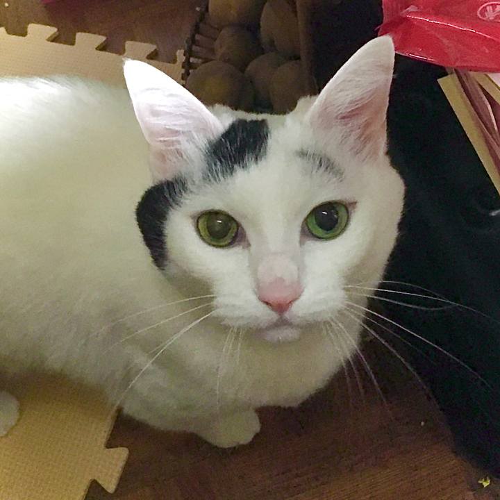 4a5d5e6e 2338 42c5 9faa 6df638cb0fa8 1587962621963