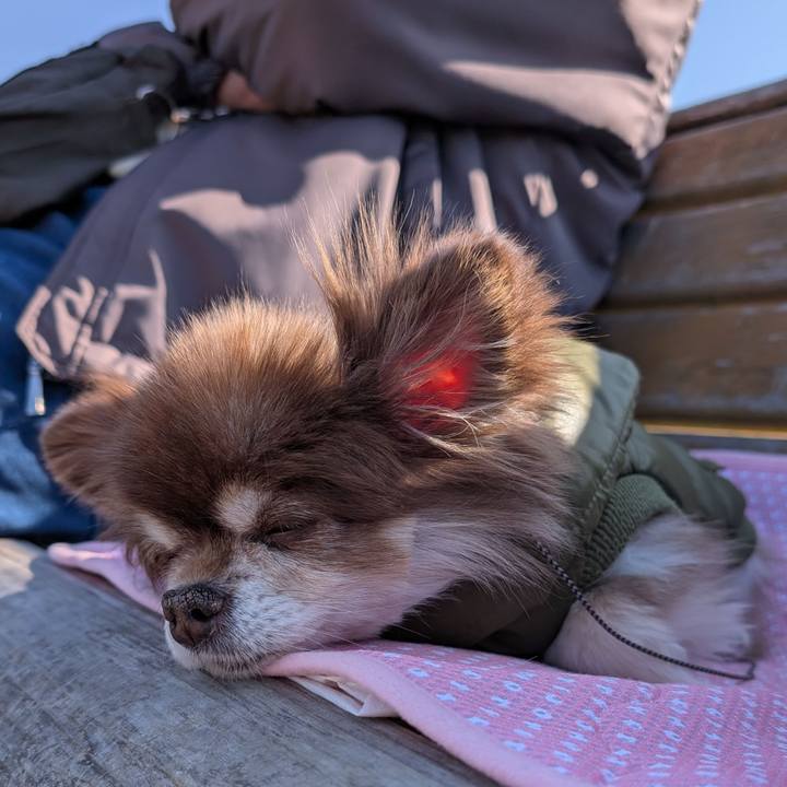 4a5d9ac4 27ed 474b 8a7e d5f33bd160fa 1768622488658