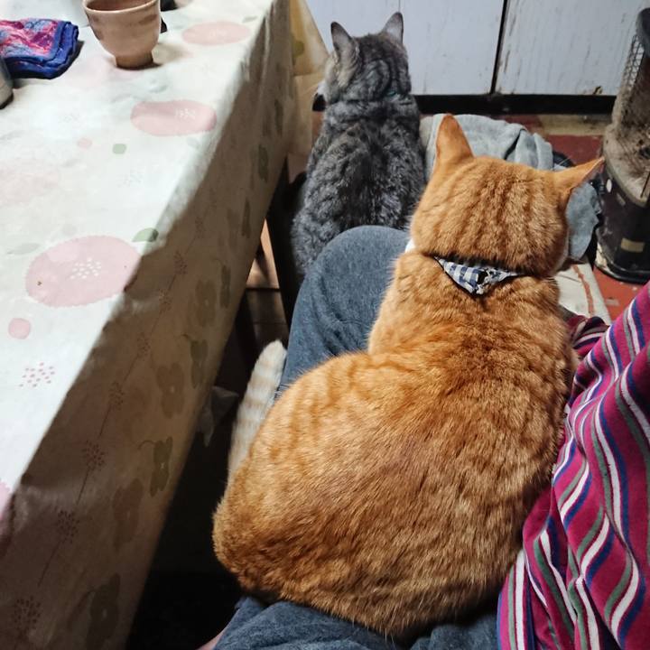 4a5db14b f75e 4f69 a532 4866280832c8 1576144554176