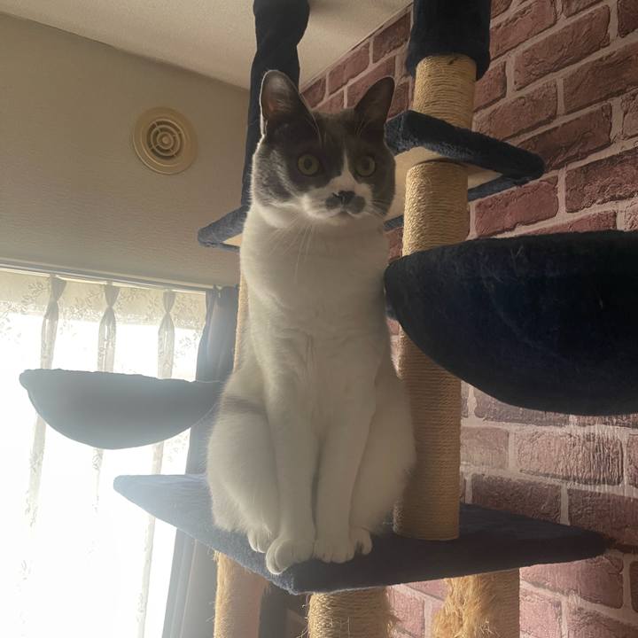 4a5dc3b8 e5f6 41f7 8242 5962e00631f5 1692753357441