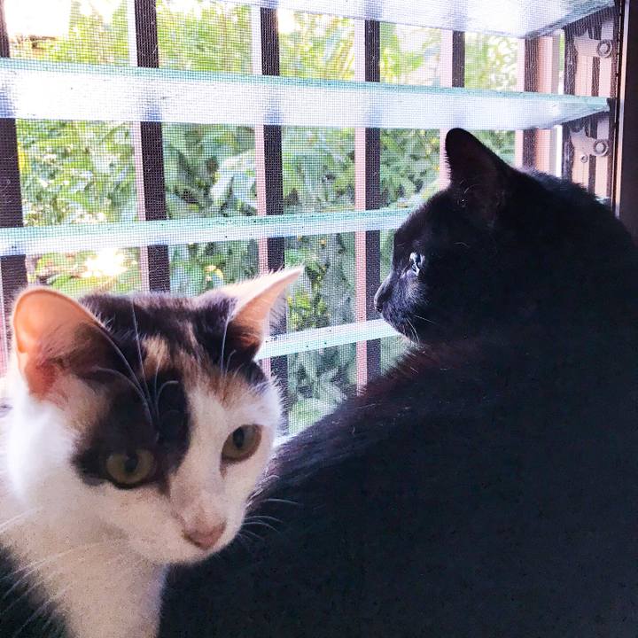 4a5df444 030d 4e04 a32a 4bca0c1469ea 1509151501601