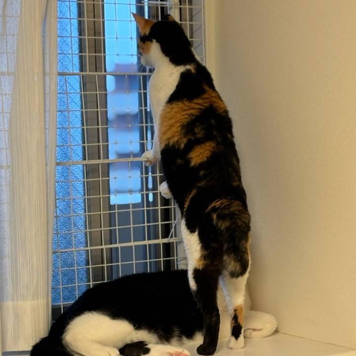 4a5e041f ef52 4ef3 95f6 f8eecd69e561 1776157709978