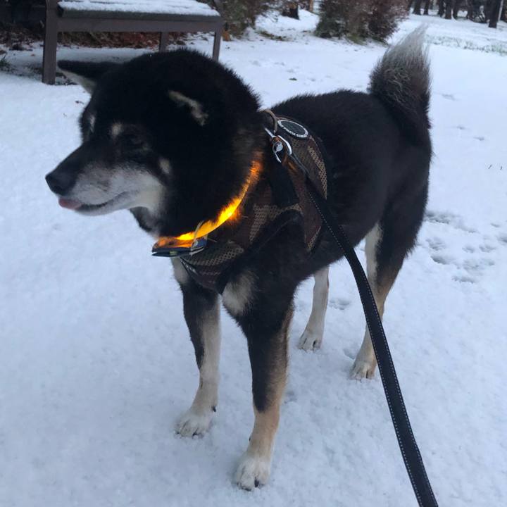 4a5e48a4 335b 4053 b59f 447d707dfa80 1604914346164