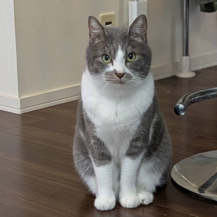 4a5e58c3 650f 4c8f a408 90c8a4042348 1746522359945