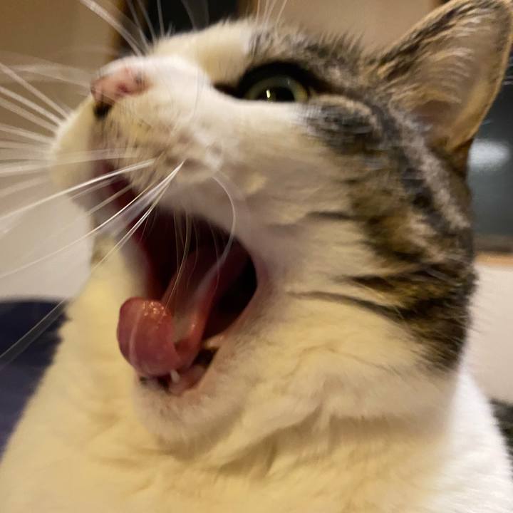 4a5e7db8 98dd 41e4 af5e e5c557ca3dd0 1663857413653