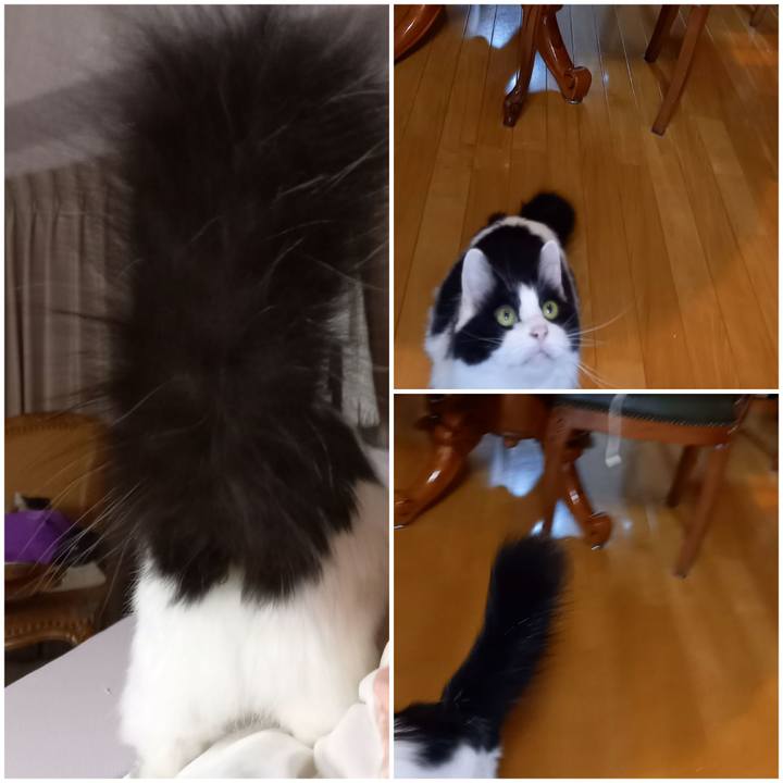 4a5ea91c d013 42f3 88fe 44bd85c7ab56 1634591243772