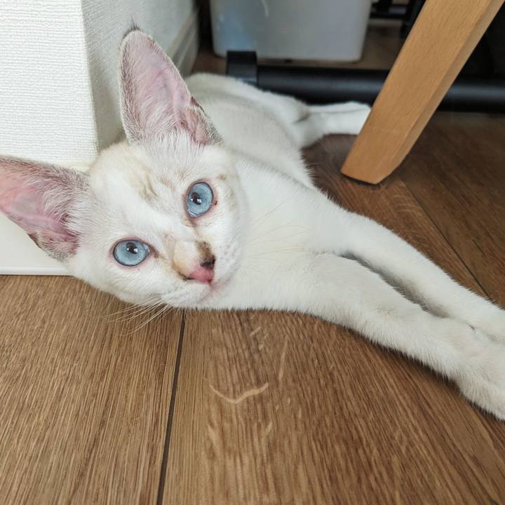 4a5ed13f 726a 444f 93ee cee092f45f3b 1689904120328