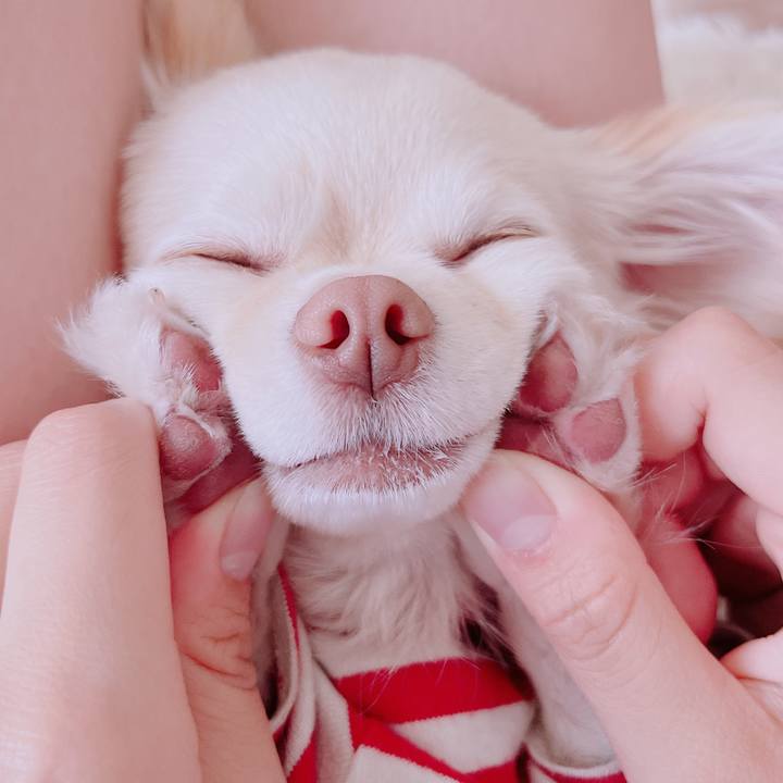 4a5ed98c 96a6 49ec 92a7 b462089c15c3 1683796678218