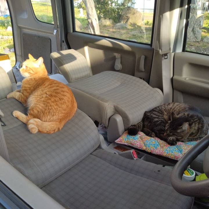 4a5f325a 151c 4b1b bc92 25d962e7b54f 1683190945730