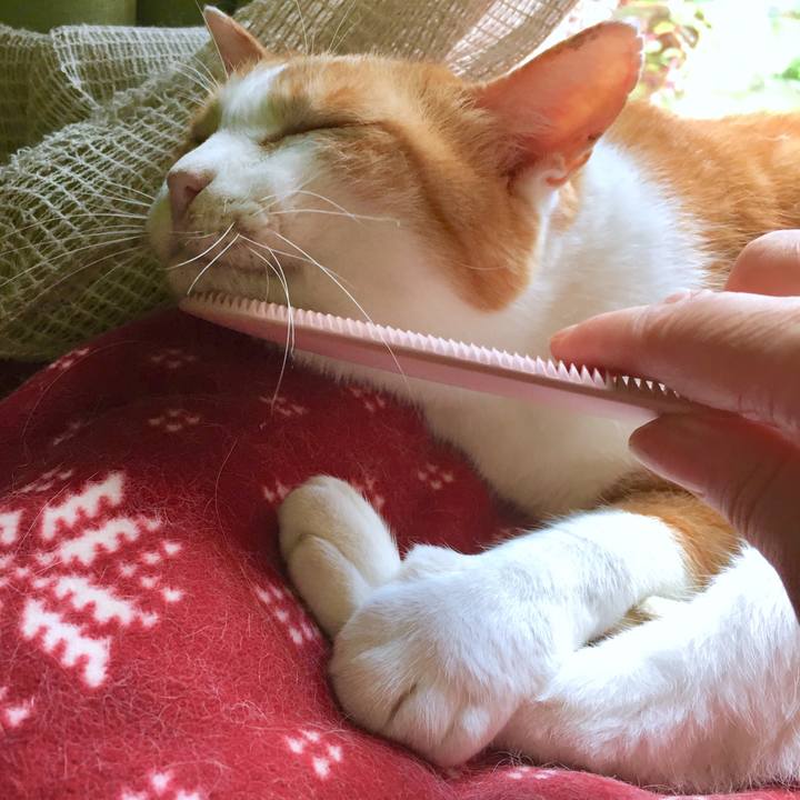 4a5f4172 5ac3 427f aced 4c3dc398d94c 1568262203182