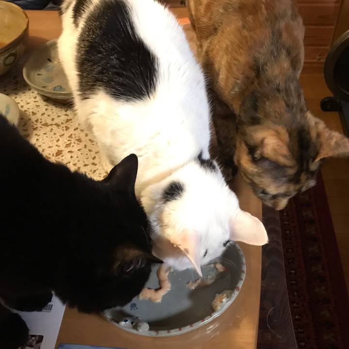 4a5f7892 cb5d 43fe b8fe 8a6c365bc422 1648115613897