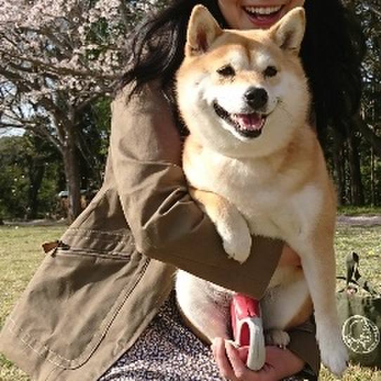 4a5f78c0 3290 40b4 94f6 274083f1cbe8 1522667841603