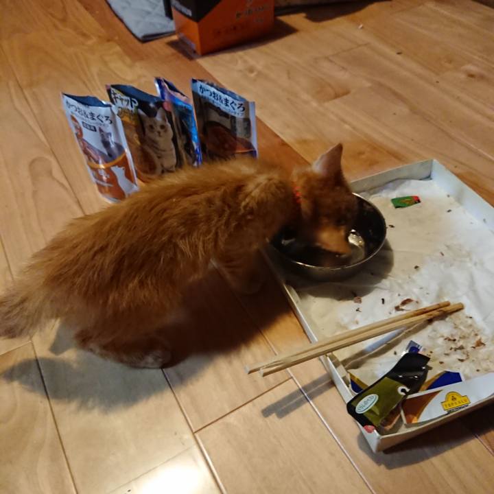 4a5f9c3d 89ce 4c9f a871 66a5c7b51c1d 1628433500790