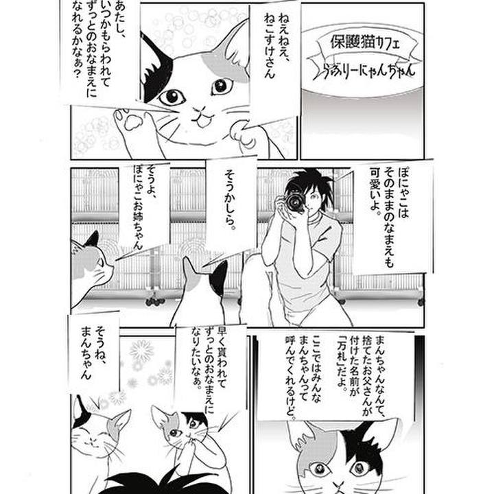 4a5fbe7c bdcd 4267 85e8 e08395723221 1598876745766