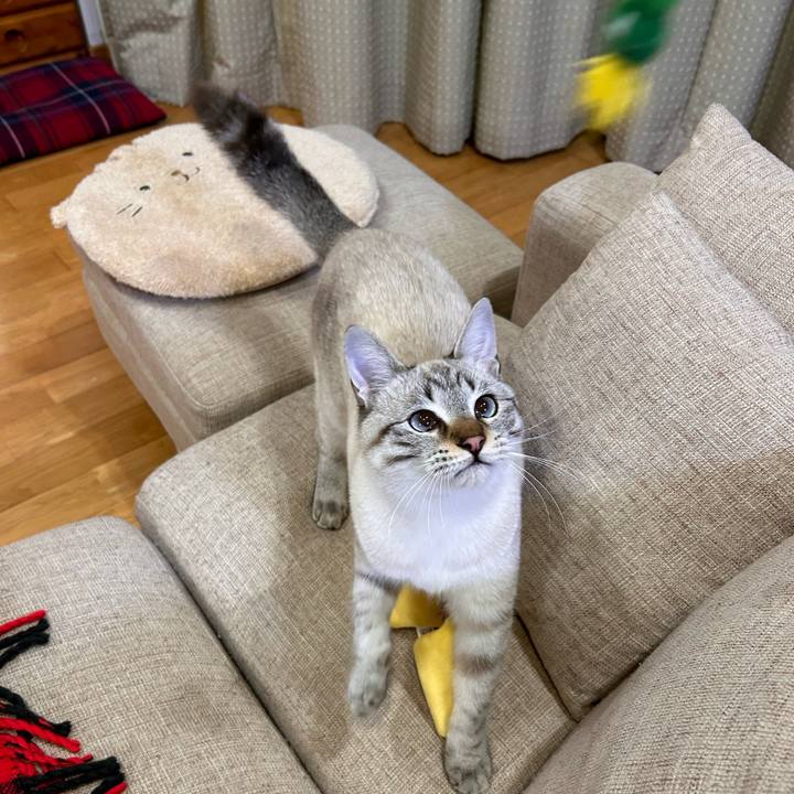 4a5fe41d 91ce 41b9 9729 02181e0c779d 1736510007337