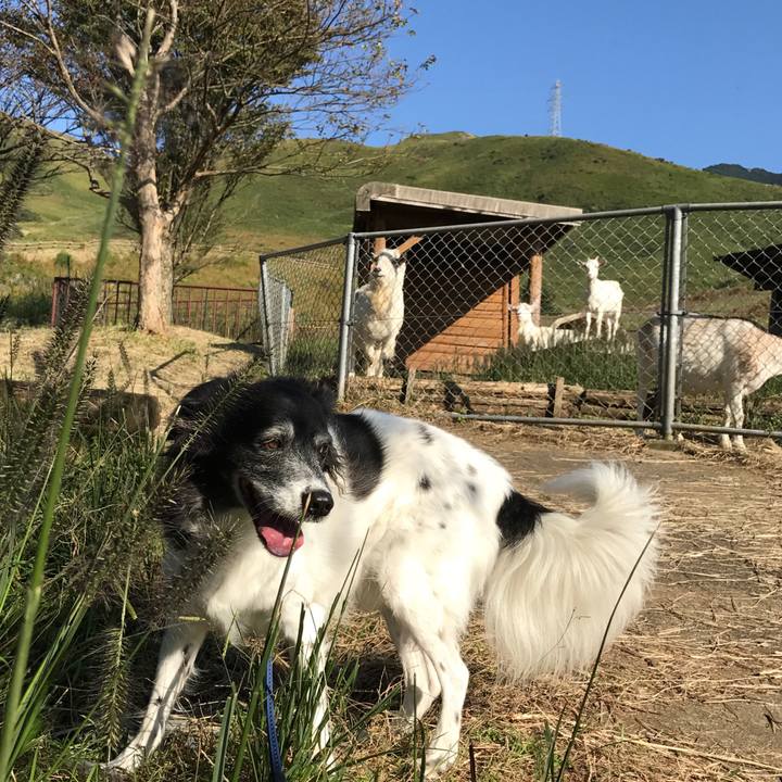 4a5feef8 1825 44ec bf87 e22a6c36b790 1509020451547