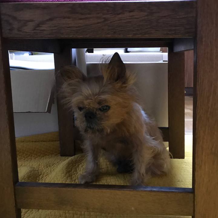 4a5ff533 8758 4aed a524 61ea4684e56a 1561964545084