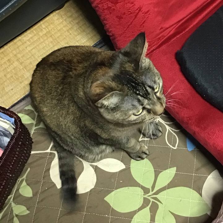 4a603418 b98e 4ad8 bbb3 5f6e0086a118 1672924965604