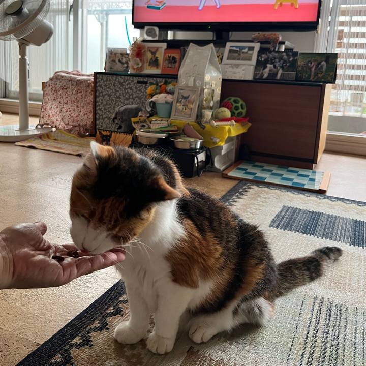 4a603596 463c 4abb ae11 42f054647dab 1688508856813