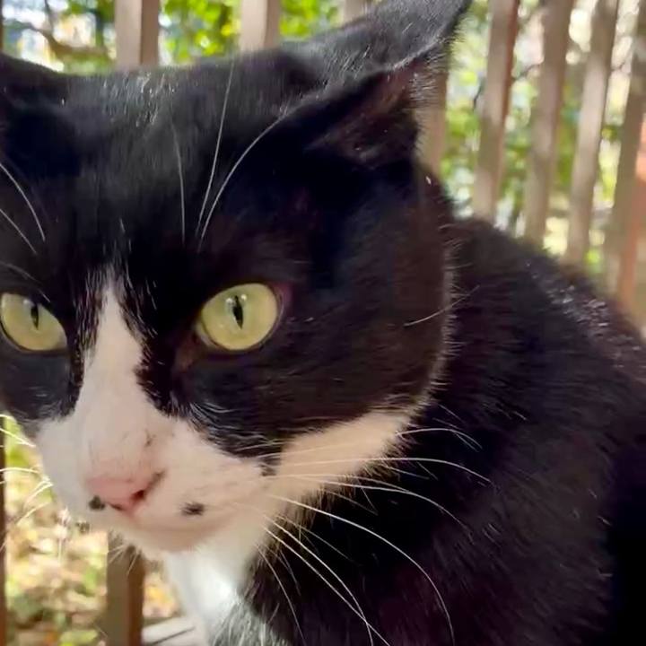 4a6078bb 9b22 491e a733 d8c30b59ffbd 1762153778580