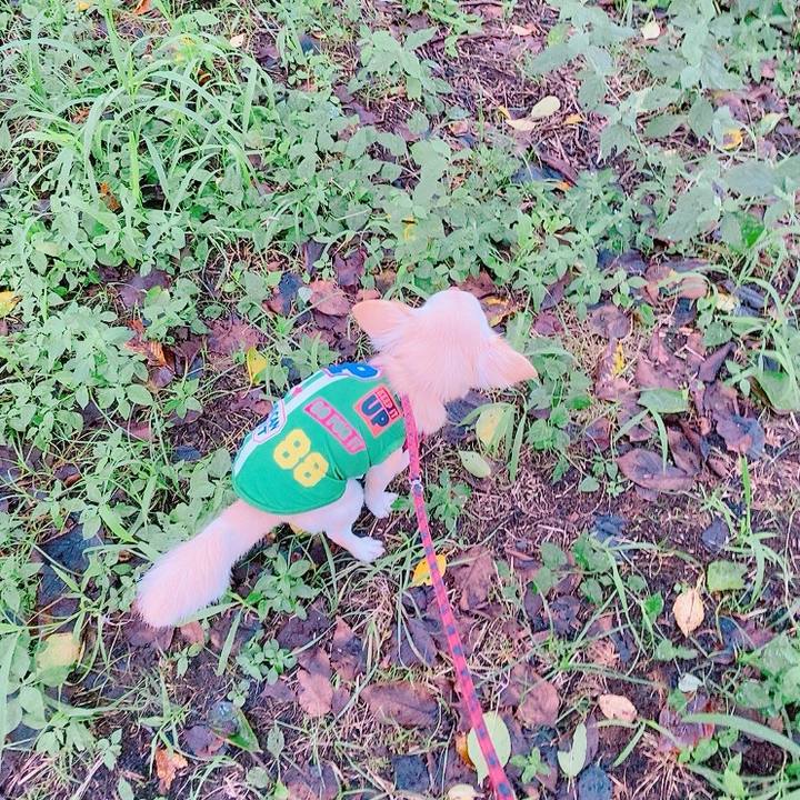 4a60800c 447d 4c47 a6db 19e486334cc9 1629113745645