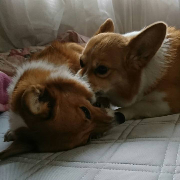 4a60b11d 5854 44bf 8d21 c0fcc168c07a 1527649067929