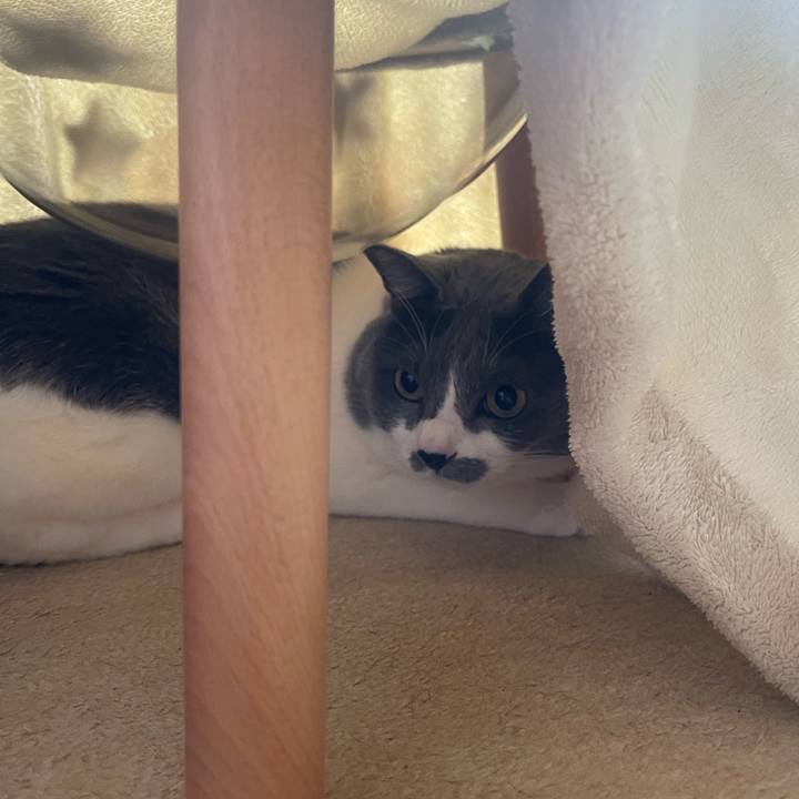 4a60b46e e153 4b0a a57b efa6e6415b7e 1735622216291