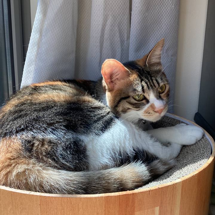 4a60c7d1 c354 4b19 98a0 3539b42a1146 1685611766234