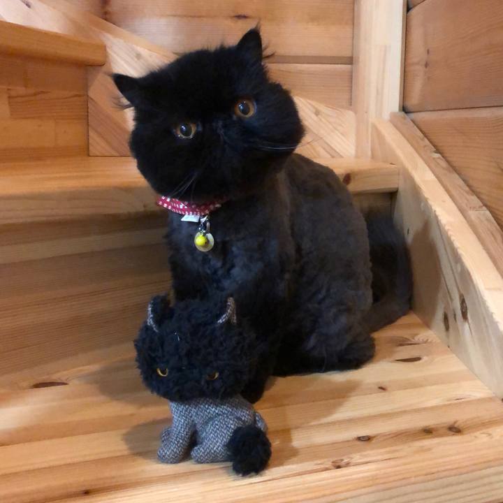 4a60d1fd b3d3 41ed a71a 48bb8cee0eae 1653829378173