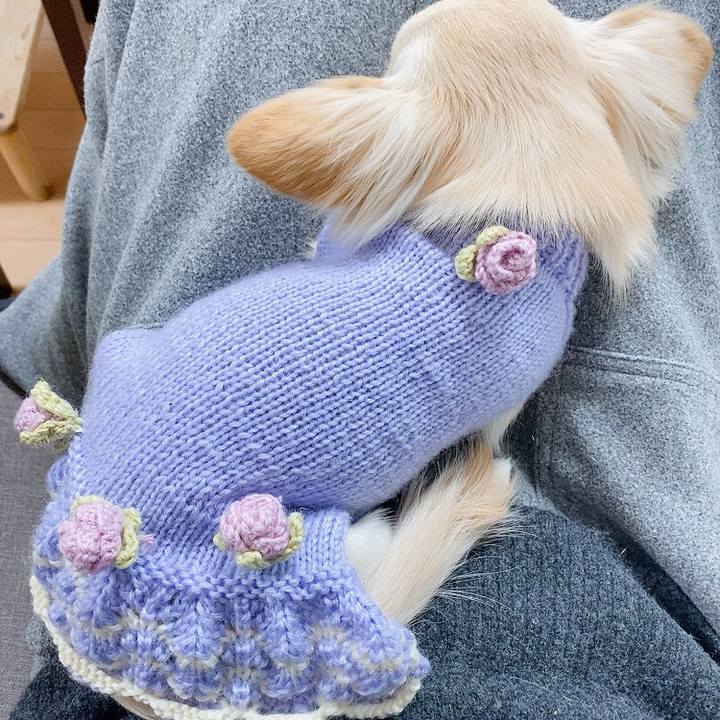 4a61078b 4118 4a6d 886f 7ecc111310f7 1610963882043