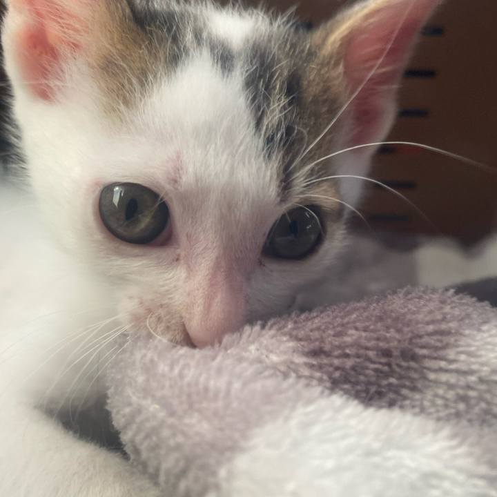 4a6131c2 1f83 40b2 ac93 57bf8730d387 1731124528895