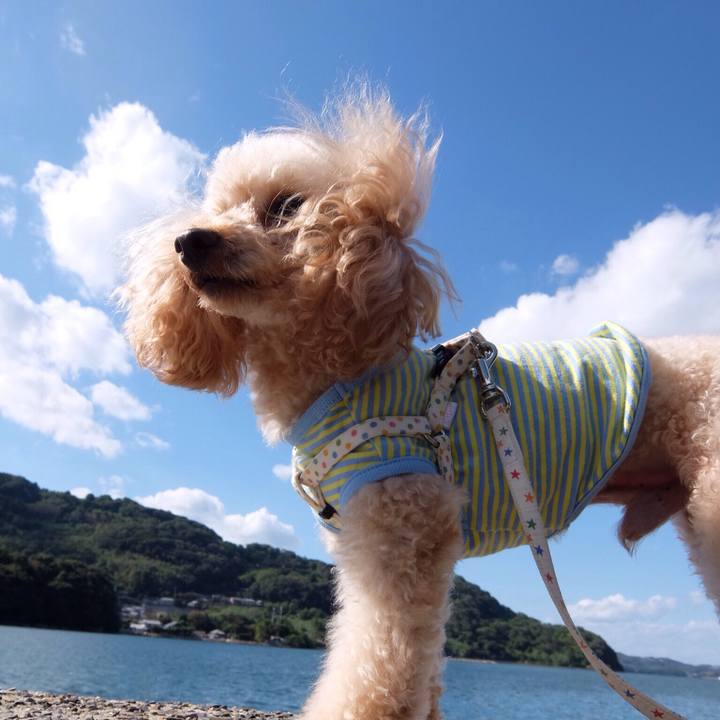 4a613563 8f99 4417 b908 424fb44e9c84 1546659289470