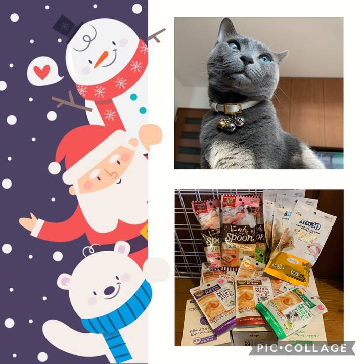 4a614ceb e05d 407c 8305 d7608bfe4b68 1671962076964