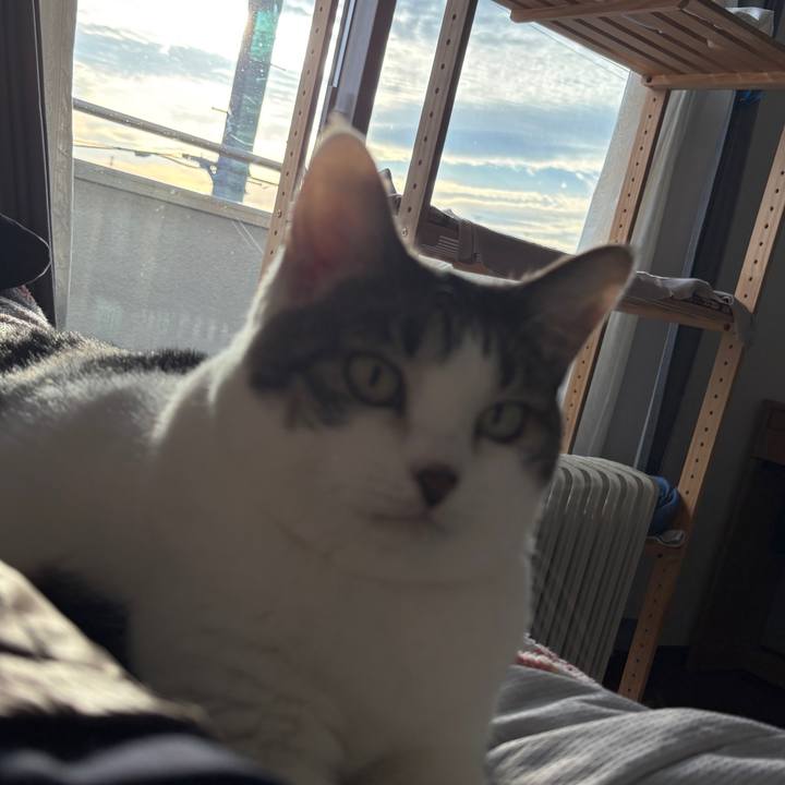 4a614ddc d16d 48bd ac6b b71e7d2df190 1762065862312