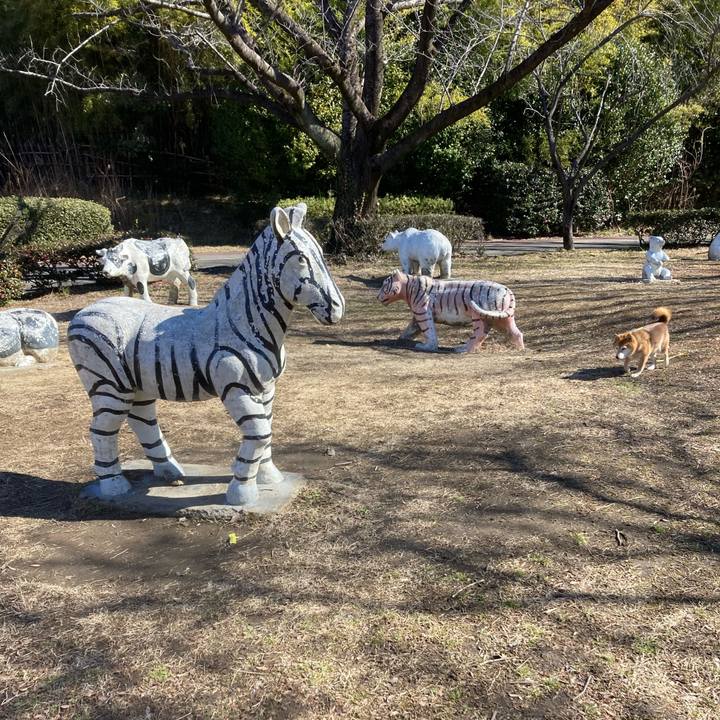 4a616f71 73ca 42cd 9ed1 8821c3f82532 1645068859208