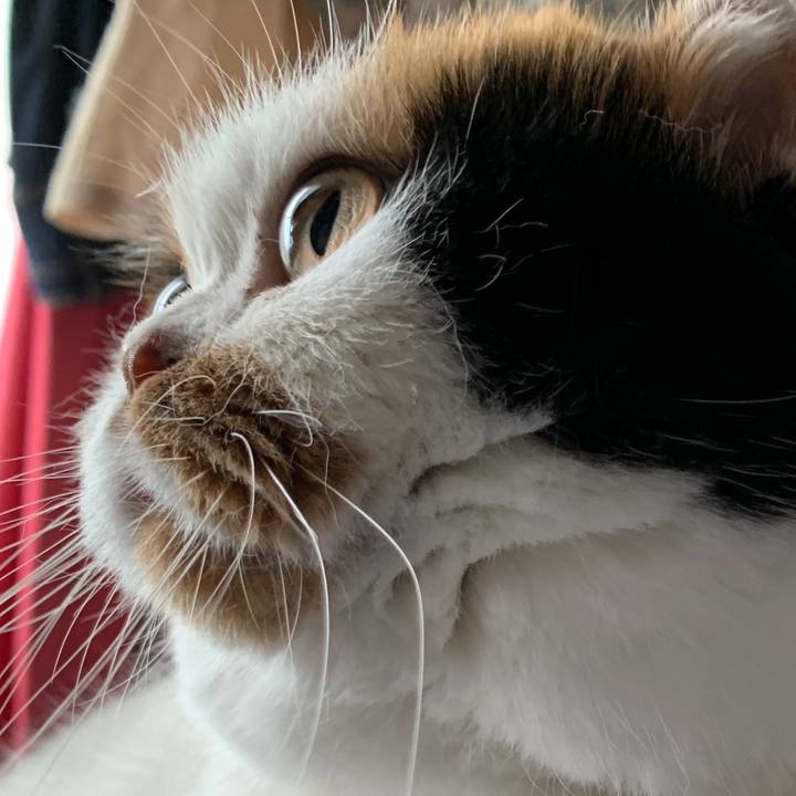 4a617239 6dfc 4030 855b b6d7c9ed79ed 1566018883227