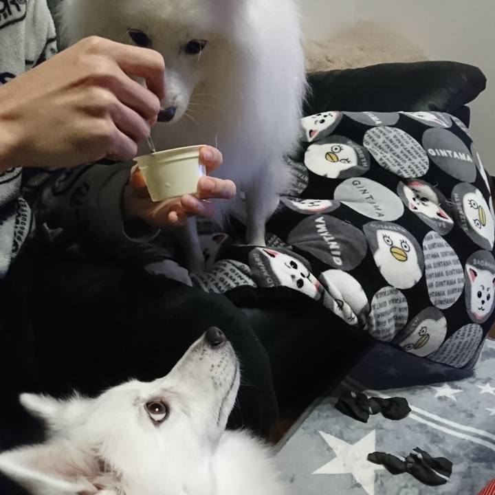 4a617382 ce53 4bee 82d2 e7a034112c16 1574174763638