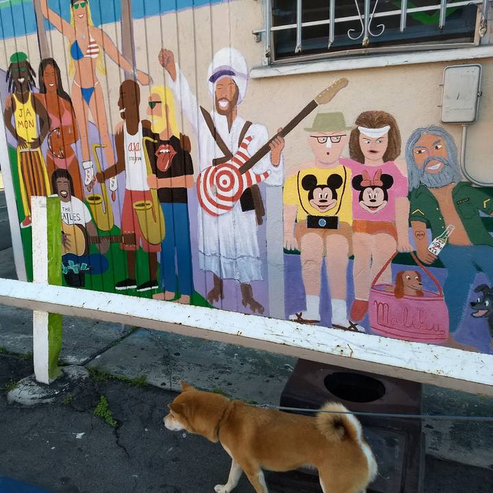 4a618cbd da86 4020 90a0 27083f57c32c 1512335055422