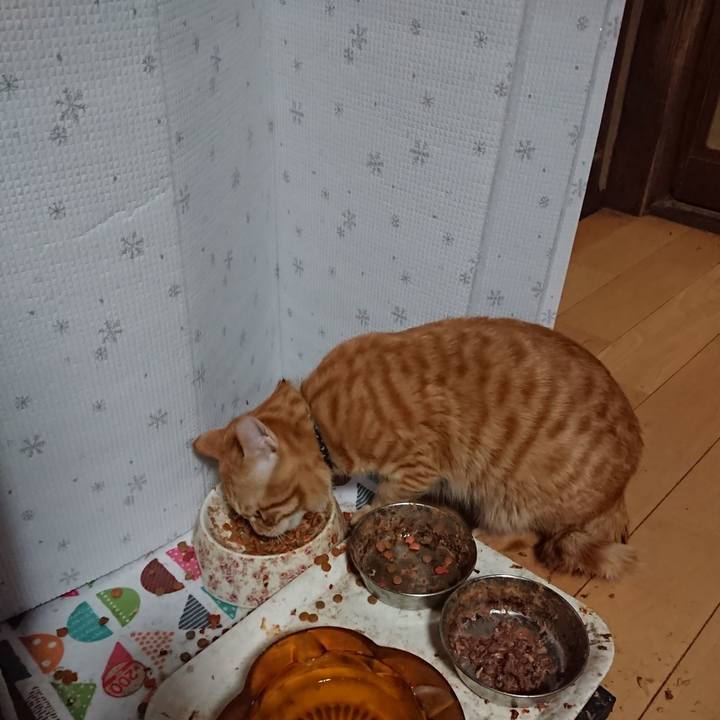 4a619a46 12ea 45d3 bb4e e51ceb44e463 1646081911217