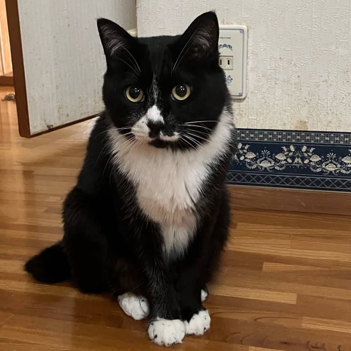 4a61a560 7d3e 4b8e a28f a50a20cec9bf 1756698701403