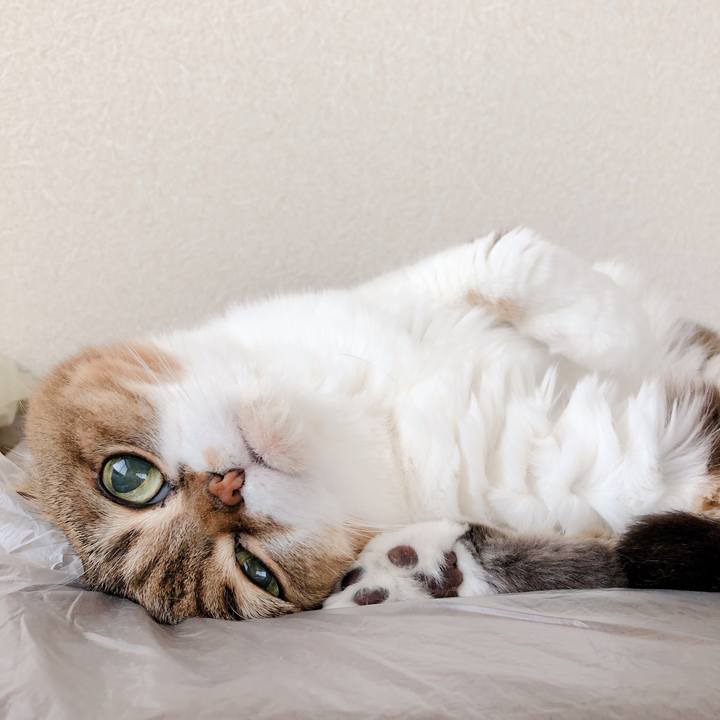 4a61b8f7 9a53 4b73 be3d 37ef2ea0d1ab 1561351619171