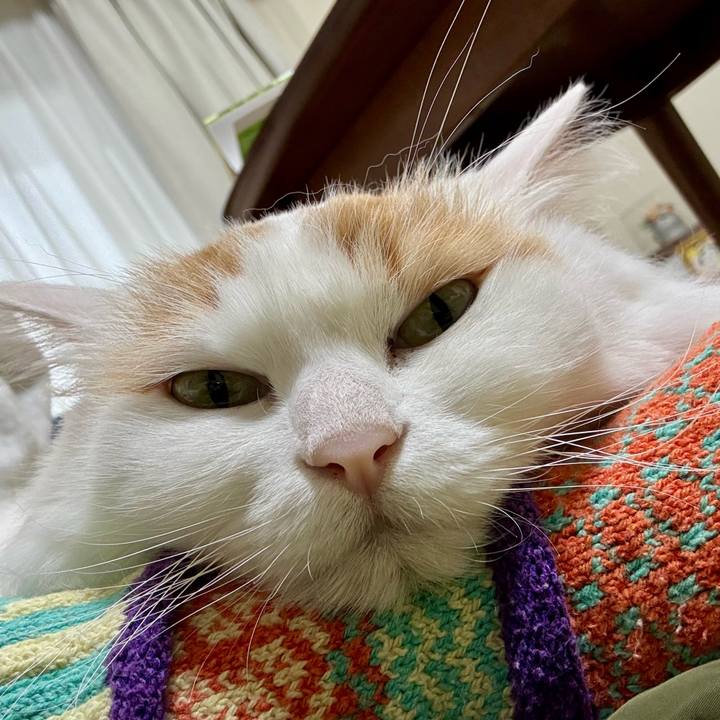 4a61e185 bf3b 45a2 803e 03d8e29251a6 1772163561921