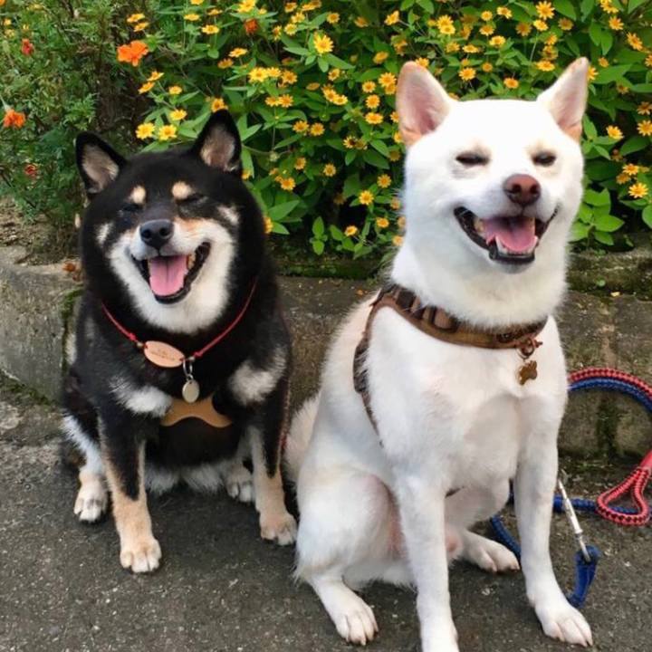 4a625212 58b9 4bd4 9054 c7f104cf80c4 1590879120751