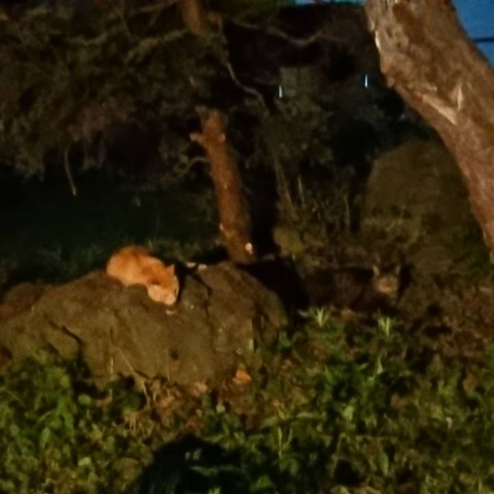 4a625d8e 762b 450d 8453 f8a896612f5d 1657537254316