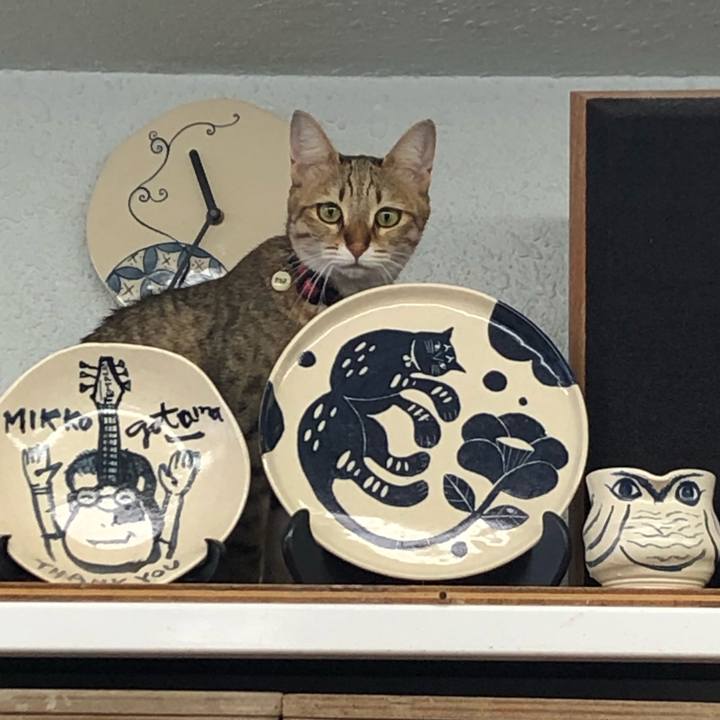 4a628358 e801 4057 9c48 60c5cdc8fff7 1611885459372