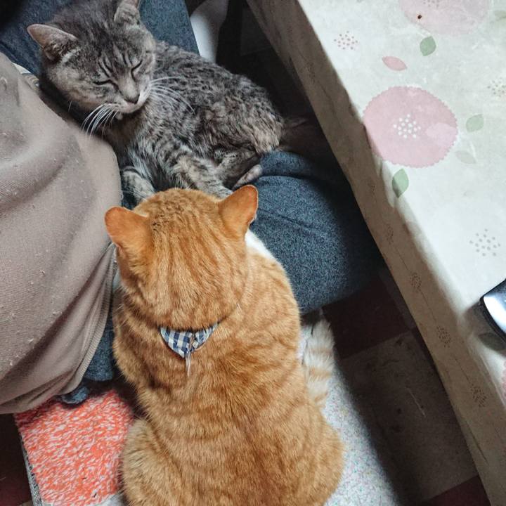 4a62a98d 6460 4db5 94c3 79fb6e38be3b 1575157426345