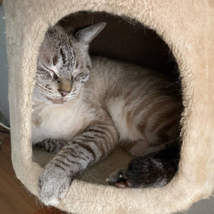 4a62c0b3 15fb 46a1 a110 0f0824a2bfbc 1758764533212