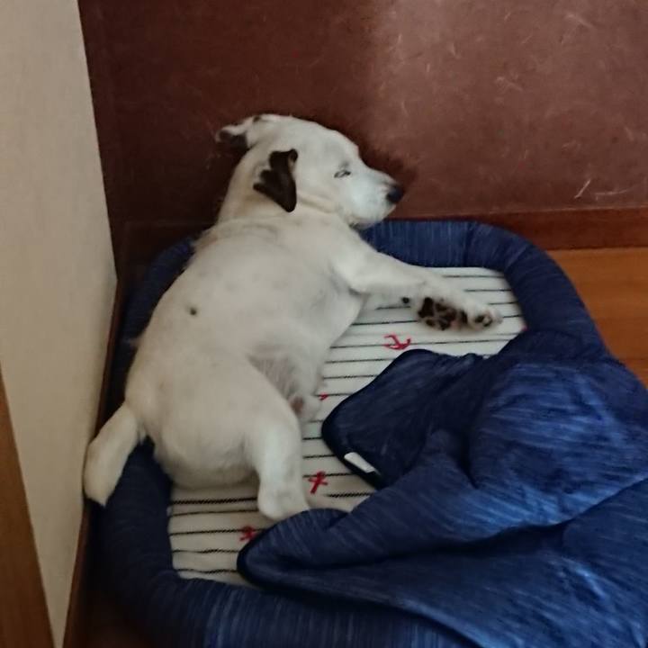 4a62e458 d9b1 4928 a832 fa6955289d32 1530576485590